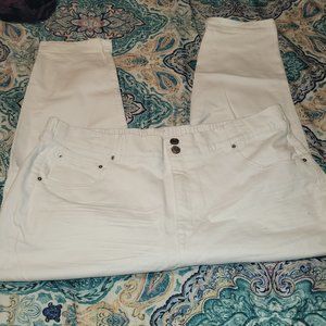 Terra & Sky White Denim Jeans w/ Stretch Waist Band Plus Size 2X (20)